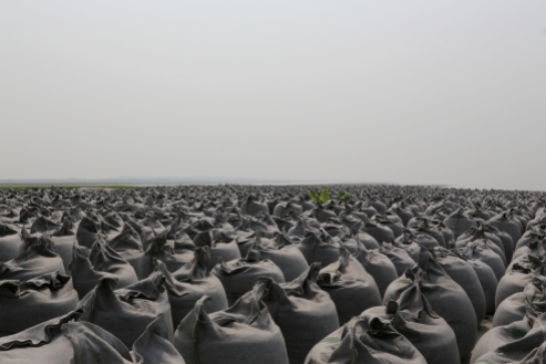 sandbank with a field of sand bags